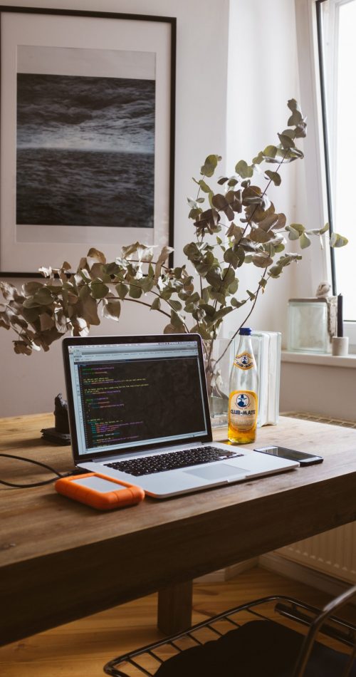 photo page web Ordinateur et plante agence Pilowa
